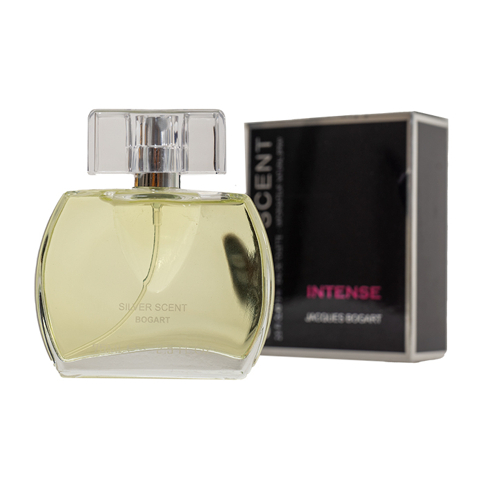 عطر مردانه مدل Silver Scent